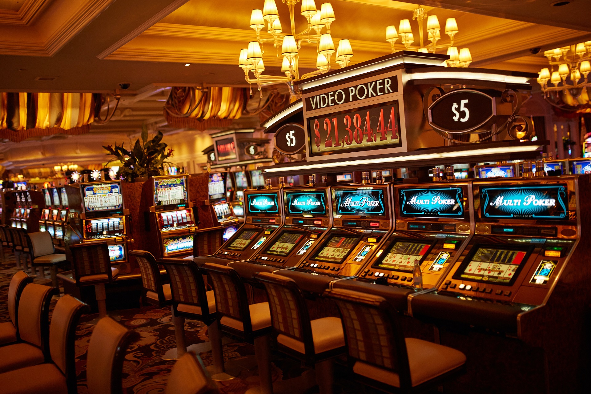 The Most Exciting Online Casino Options In New Zealand